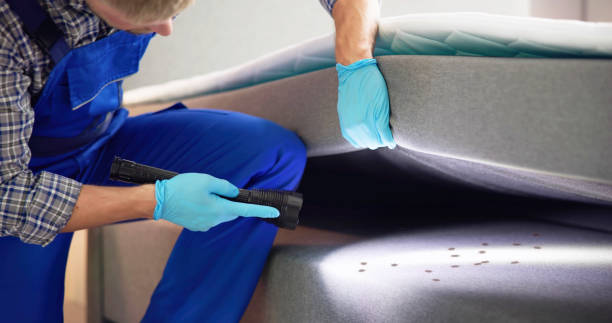 Best Termite Control Services  in Adelanto, CA