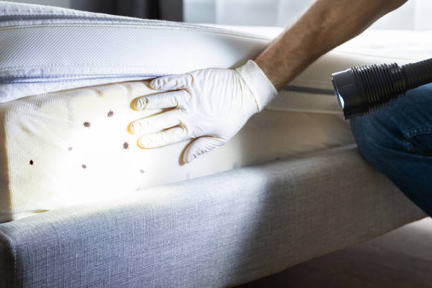 Adelanto, CA Pest Control Company