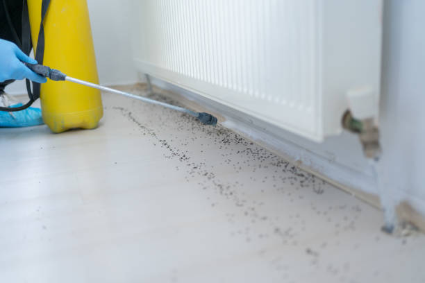 Best Cockroach Control Services  in Adelanto, CA