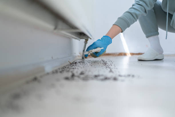 Pest Control Cost in Adelanto, CA