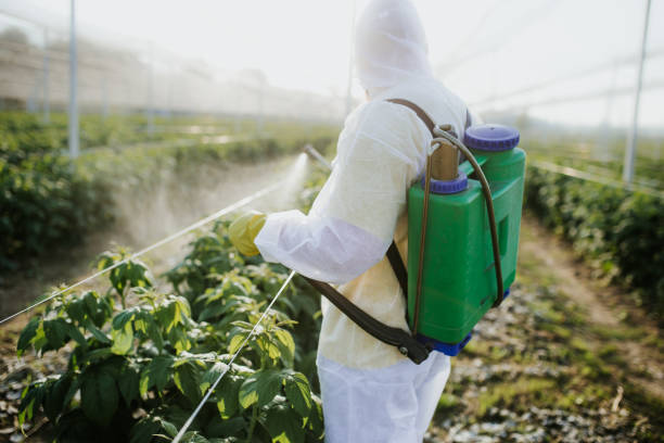 Best Pest Prevention Services  in Adelanto, CA